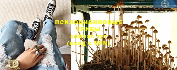 гидропоника Лагань