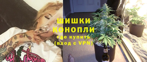 PSILOCYBIN Лабытнанги