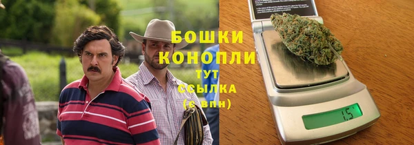 PSILOCYBIN Лабытнанги